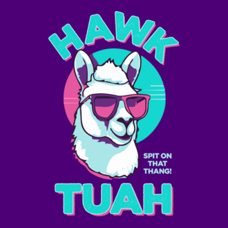 Hawk tuah llama retro sunglasses model tricou