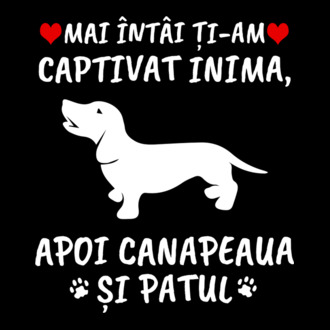 Mai întâi ți-am captivat inima, apoi canapeaua și patul model tricou
