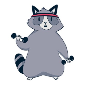Raton antrenament model tricou