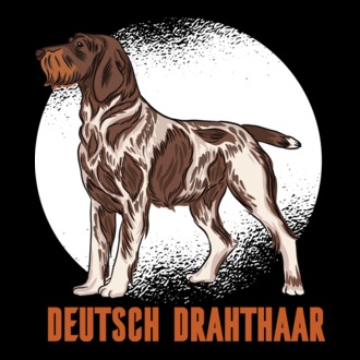 Brac german cu păr sârmos model tricou