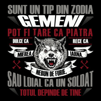 Sunt un tip din zodia Gemeni model tricou
