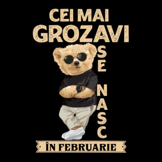 Teddy cel cool februarie model tricou