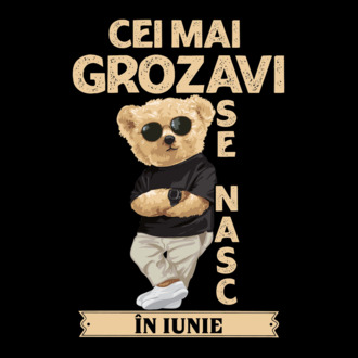 Teddy cel cool iunie model tricou