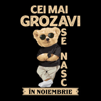 Teddy cel cool noiembrie model tricou