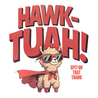 hawk tuah llama spit on that thang model tricou