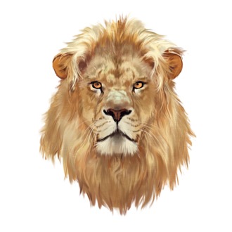 lion head paint model tricou