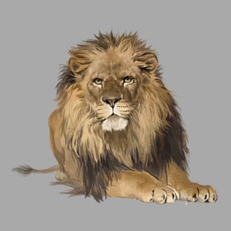 lion king model tricou