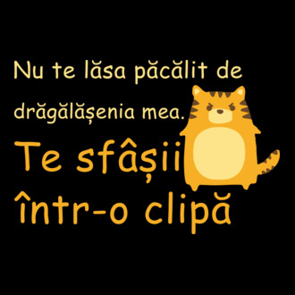 nu te lăsa păcălit de drăgălășenia mea. te sfâșii într-o clipă model tricou