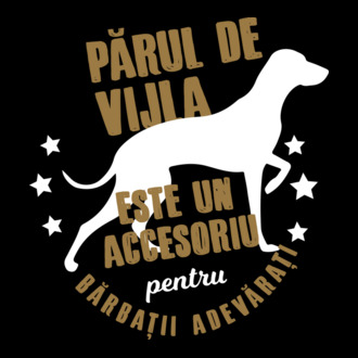 părul de vijla este un accesoriu pentru bărbații adevărați model tricou