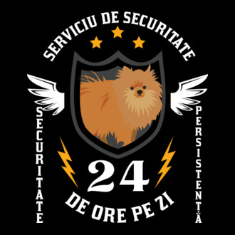 serviciu de securitate - securitate - persistență - 24 de ore pe zi model tricou