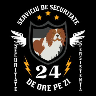 serviciu de securitate - securitate - persistență - 24 de ore pe zi model tricou