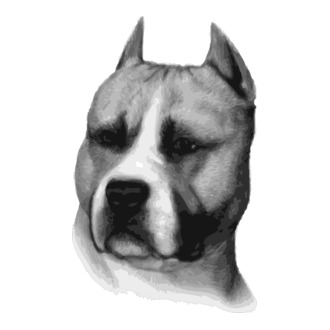Staffordshire Terrier model tricou