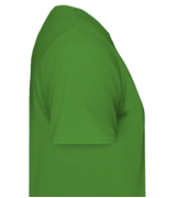 Vizualizare v4