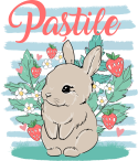 images/mymoments/111/08_bogre_hatoldala/01-hata_trimmed.png
