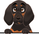 images/mymoments/117/02_karakter_allatok/Caine/14-coonhound_trimmed.png
