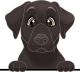 images/mymoments/117/02_karakter_allatok/Caine/19-vizsla_trimmed.png