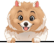 images/mymoments/117/02_karakter_allatok/Caine/22-pomeranian_trimmed.png