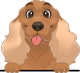 images/mymoments/117/02_karakter_allatok/Caine/23-cocker-spaniel_trimmed.png