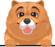 images/mymoments/117/02_karakter_allatok/Caine/27-chow-chow_trimmed.png