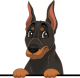 images/mymoments/117/02_karakter_allatok/Caine/28-doberman-pinscher_trimmed.png