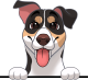 images/mymoments/117/02_karakter_allatok/Caine/36-entlebucher_trimmed.png