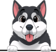 images/mymoments/117/02_karakter_allatok/Caine/38-alaskan-malamute_trimmed.png