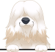 images/mymoments/117/02_karakter_allatok/Caine/4-bearded-collie_trimmed.png