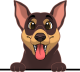 images/mymoments/117/02_karakter_allatok/Caine/41-miniature-pinscher_trimmed.png
