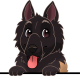images/mymoments/117/02_karakter_allatok/Caine/44-keeshond_trimmed.png
