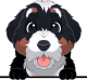 images/mymoments/117/02_karakter_allatok/Caine/45-bernese-mountain_trimmed.png