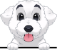 images/mymoments/117/02_karakter_allatok/Caine/46-labradoodle_trimmed.png