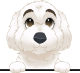 images/mymoments/117/02_karakter_allatok/Caine/5-bichon_trimmed.png