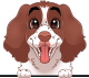 images/mymoments/117/02_karakter_allatok/Caine/58-english-springer-spaniel_trimmed.png