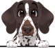 images/mymoments/117/02_karakter_allatok/Caine/59-english-pointer_trimmed.png