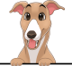 images/mymoments/117/02_karakter_allatok/Caine/60-greyhound_trimmed.png