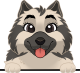 images/mymoments/117/02_karakter_allatok/Caine/62-icelandic-sheepdog_trimmed.png