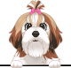 images/mymoments/117/02_karakter_allatok/Caine/63-shih-tzu_trimmed.png