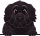 images/mymoments/117/02_karakter_allatok/Caine/67-newfoundland_trimmed.png
