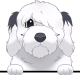 images/mymoments/117/02_karakter_allatok/Caine/68-polish-lowland-sheepdog_trimmed.png