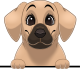 images/mymoments/117/02_karakter_allatok/Caine/73-rhodesian-ridgeback_trimmed.png
