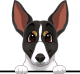 images/mymoments/117/02_karakter_allatok/Caine/74-rat-terrier_trimmed.png