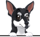 images/mymoments/117/02_karakter_allatok/Caine/76-australian-kelpie_trimmed.png