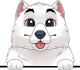 images/mymoments/117/02_karakter_allatok/Caine/78-samoyed_trimmed.png
