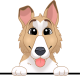 images/mymoments/117/02_karakter_allatok/Caine/82-alaskan-klee-kai_trimmed.png