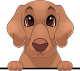 images/mymoments/117/02_karakter_allatok/Caine/87-redbone-coonhound_trimmed.png