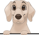 images/mymoments/117/02_karakter_allatok/Caine/89-weimaraner_trimmed.png