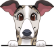 images/mymoments/117/02_karakter_allatok/Caine/91-whippet_trimmed.png