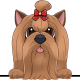 images/mymoments/117/02_karakter_allatok/Caine/94-yorkshire-terrier_trimmed.png
