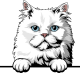 images/mymoments/117/02_karakter_allatok/Pisică/persian-copy_trimmed.png