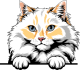 images/mymoments/117/02_karakter_allatok/Pisică/raggamuffin-copy_trimmed.png